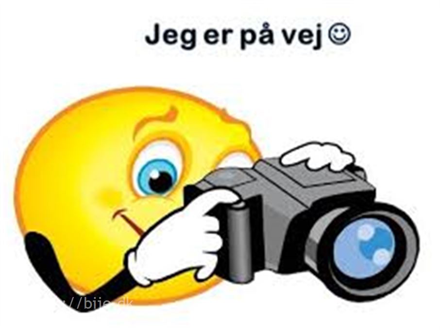 Vega 365 NTL